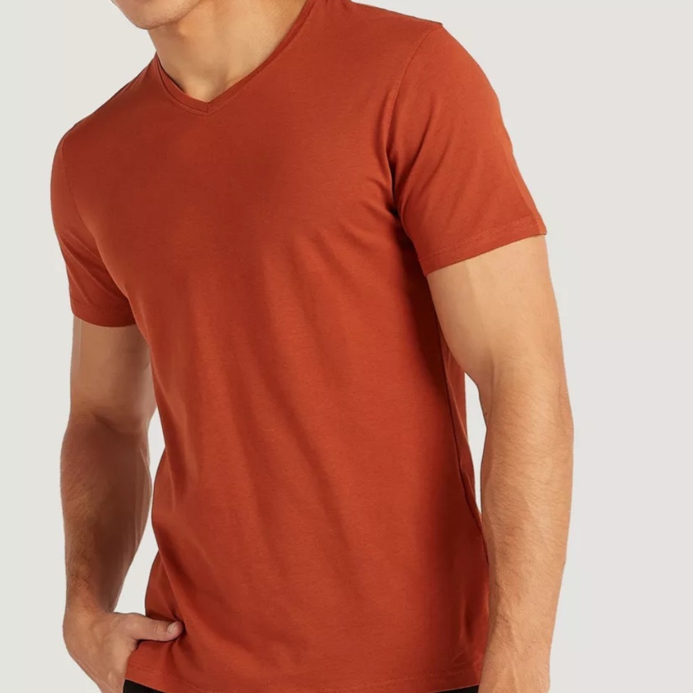 Kenneth Cole Men's V neck Short Sleeve Tee